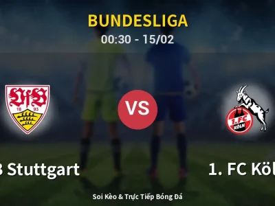 Kết Quả: VfB Stuttgart 3-1 1. FC Köln – Highlight & Bàn Thắng | Bundesliga