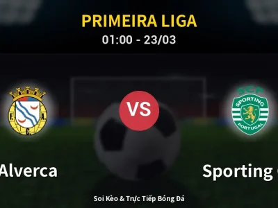 Kết Quả: Alverca 1-4 Sporting CP – Highlight & Bàn Thắng | Primeira Liga