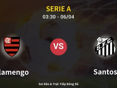 Kết Quả: Flamengo 3-1 Santos – Highlight & Bàn Thắng | Serie A